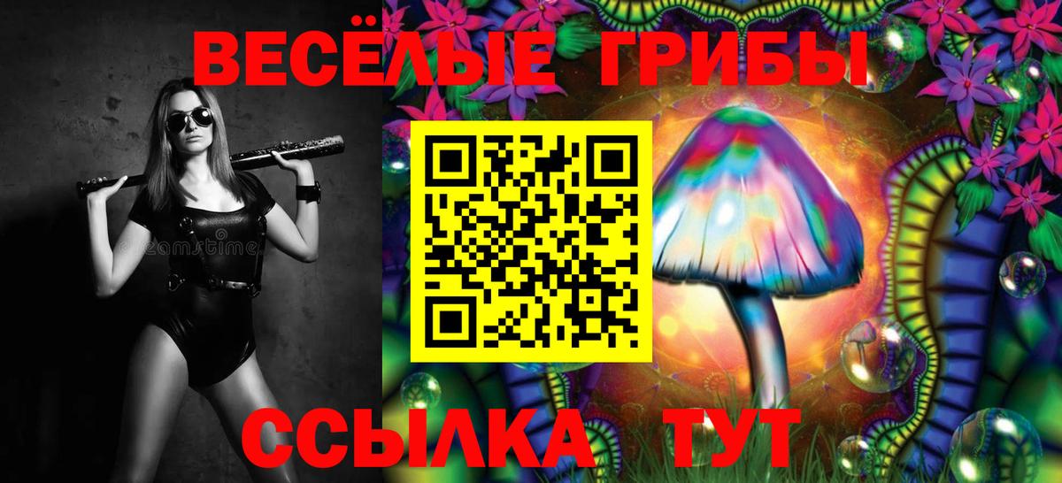 Псилоцибиновые грибы Psilocybine cubensis  Вход с VPN  Галлюциногенные грибы MAGIC MUSHROOMS  Нягань 