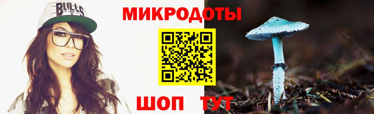 Галлюциногенные грибы Psilocybine cubensis Нягань
